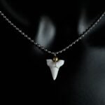 White Shark Tooth Necklace