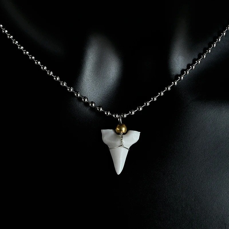 White Shark Tooth Necklace