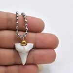 Metal Beaded Shark Tooth Necklace