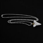 Shark Tooth Necklace