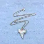 Shark Tooth Necklace