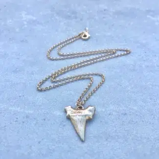 Shark Tooth Necklace