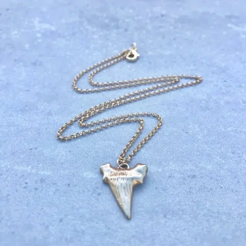 Shark Tooth Necklace