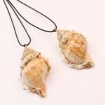 Conch Shell