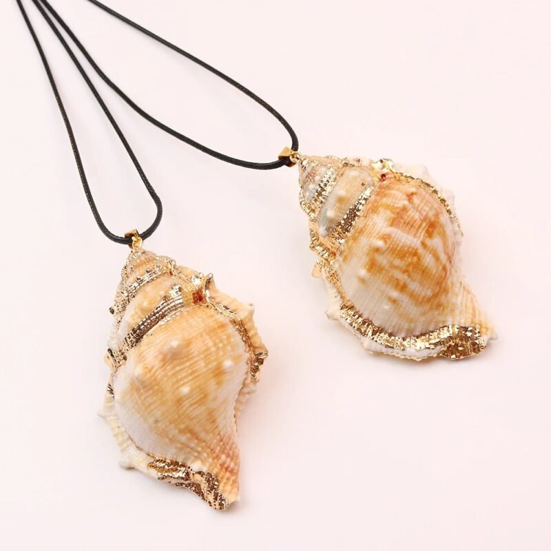 Conch Shell